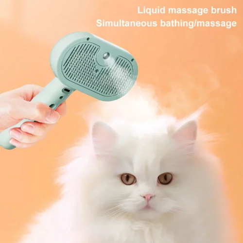 Steam Brush Spray