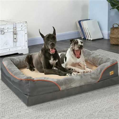 Large Orthopedic Bed