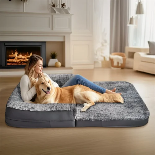 Human-Size Dog Bed